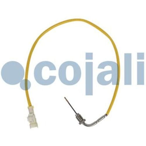 Sensor, uitlaatgastemperatuur COJALI 2262019