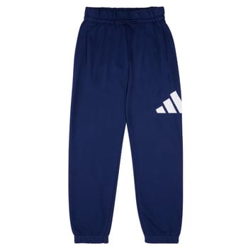 Adidas Essentials Big Logo Joggers Blauw 13-14 Years Kinderen