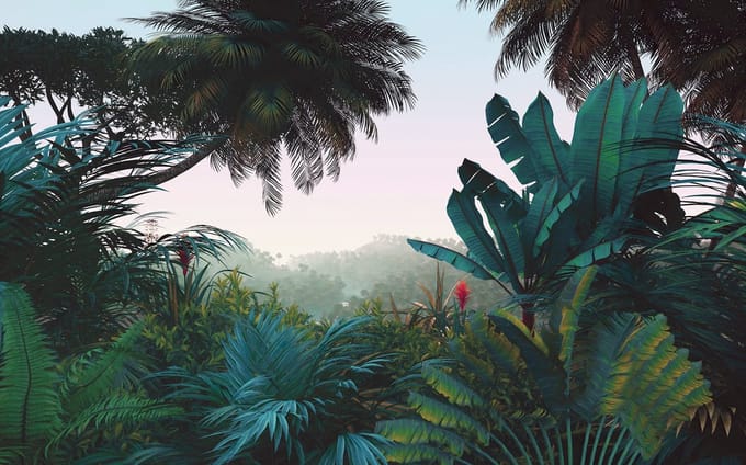 Fotobehang Jungle Morning - Meerkleurig - 2,50m X 400cm