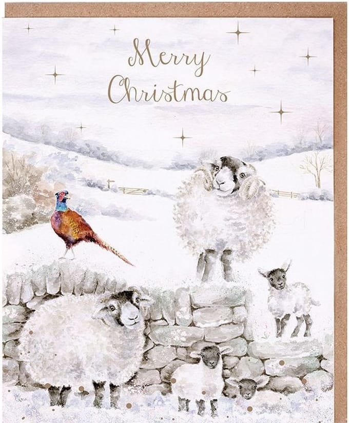 Wrendale Kerstkaarten Notepack - 8 stuks - 'Merry Christmas to Ewe' Sheep Christmas Card Pack