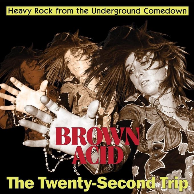 Various Artists - Brown Acid: The Twenty-Second Trip (LP)