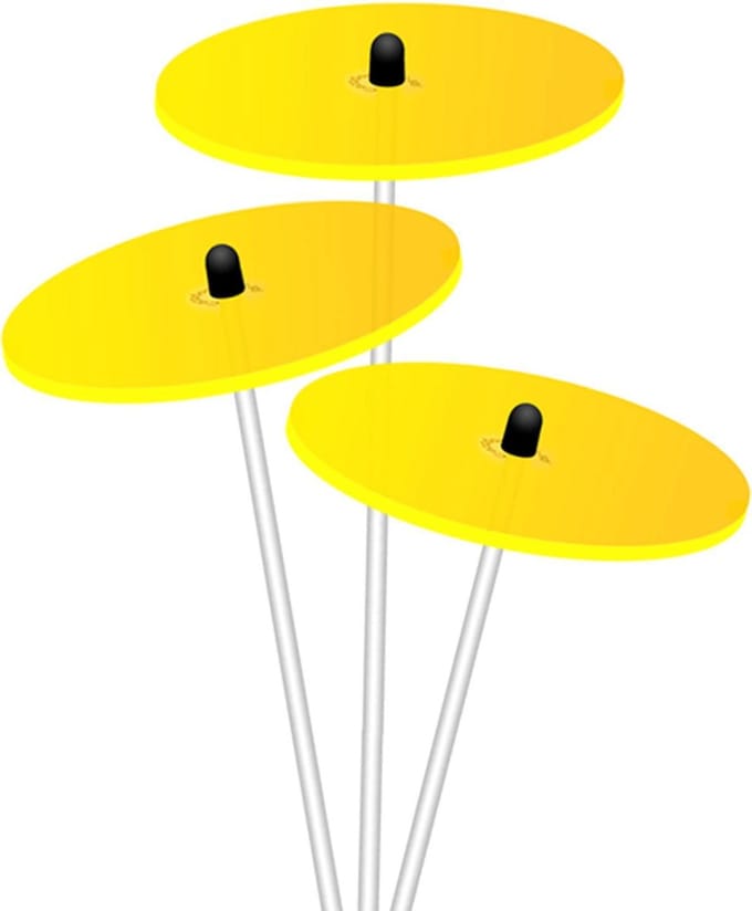 Cazador Del Sol Zonnevangers Ø080mm x 26cm Geel Set3