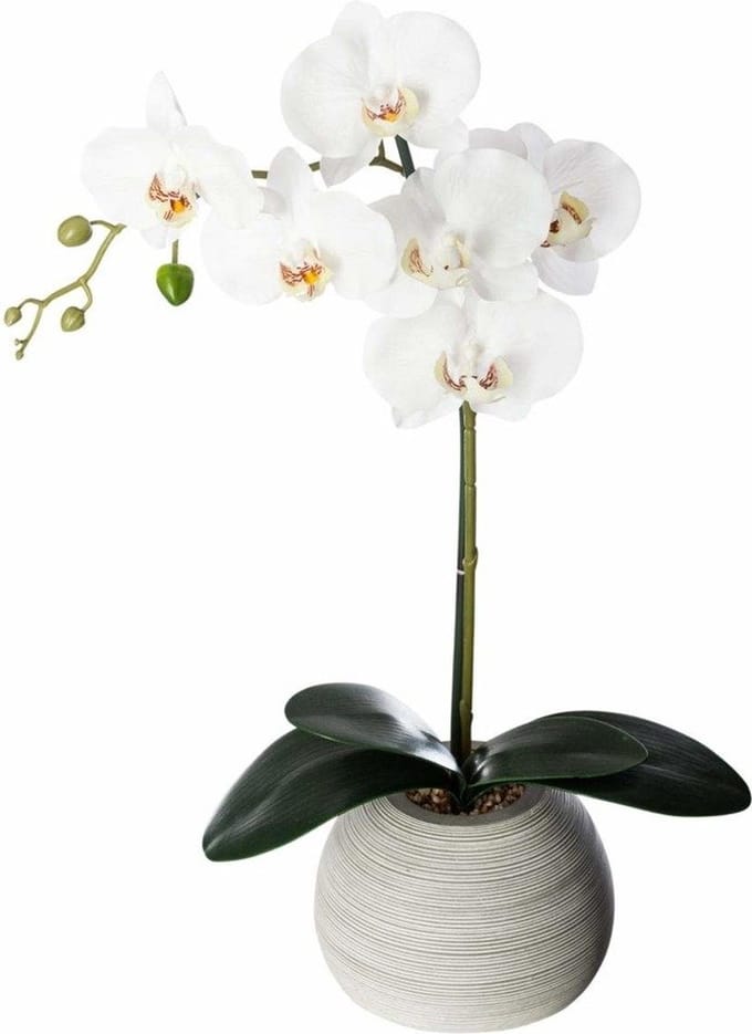 Atmosphera Kunstorchidee in keramische pot 50 cm