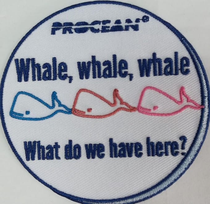 Badge whale whale whale