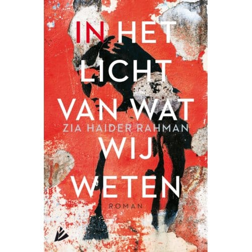 In Het Licht Van Wat Wij Weten - Zia Haider Rahman