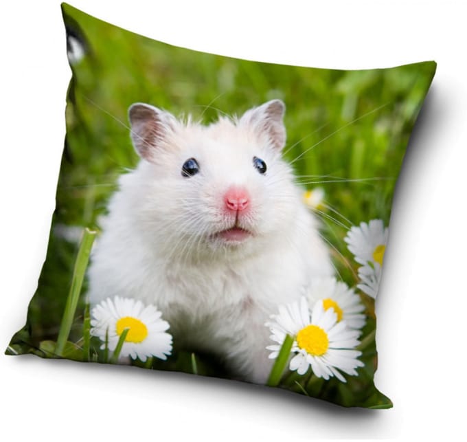 Dieren Muiskussenhoes 40*40 cm