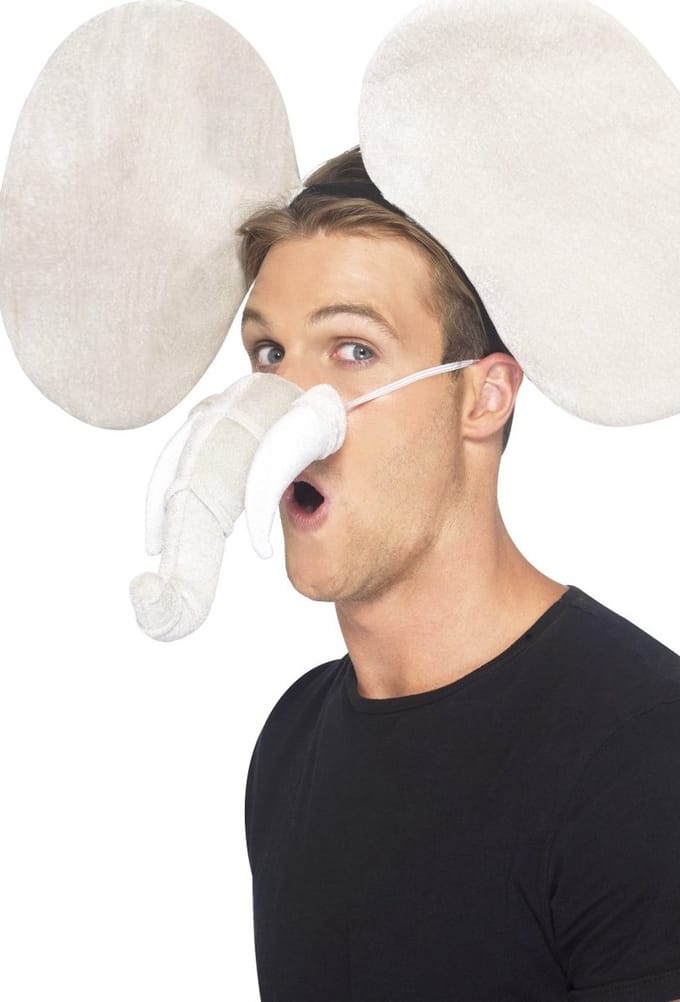 Dressing Up & Costumes | Costumes - Animals - Elephant Kit