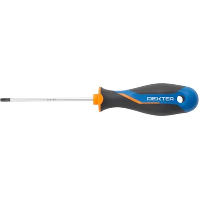 Dexter Torx Schroevendraaier - T20 - 100mm - Magnetisch