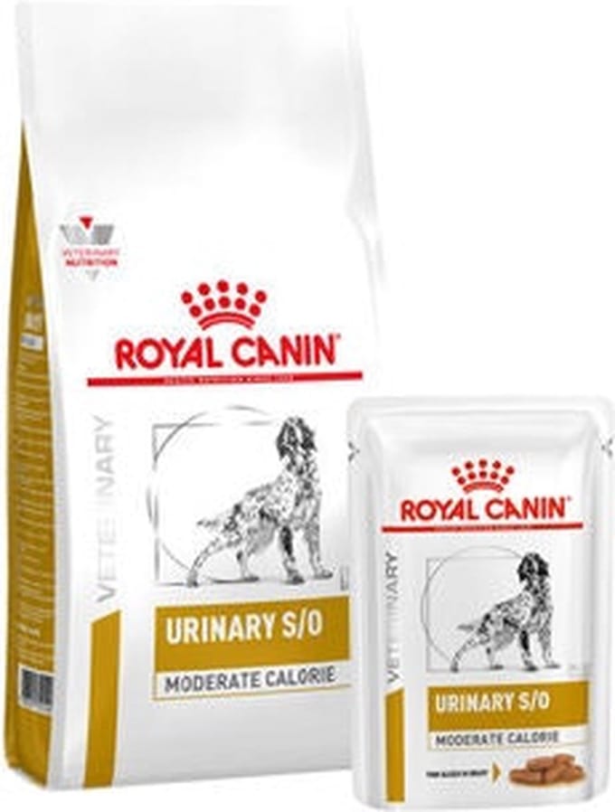 Royal Canin Urinary S/O Moderate Calorie Hond Combi - 6,5 kg + 12 x 100 g