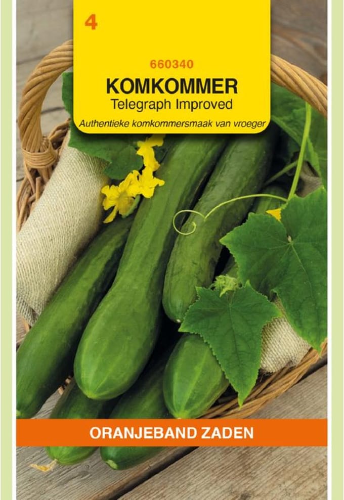 Oranjeband Zaden - Komkommer Telegraph Improved