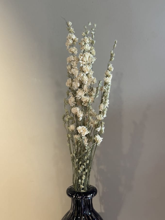Wit gedroogde Ridderspoor 60CM bos