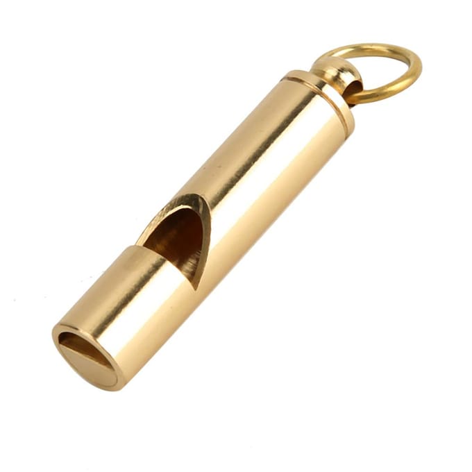 Aluminiumlegering Ultrasone Hond Vogels Trainingsfluit Gedragstrainer met Ring beige