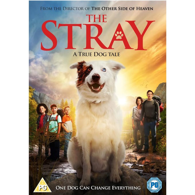 The Stray