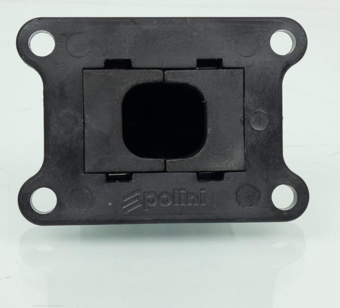 Clapet d admission Polini pour Moto 17 50 26771 Neuf