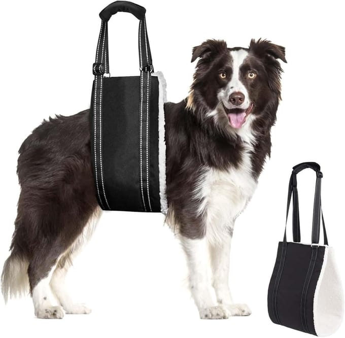 Famanu – Honden draaghulp, verstelbare comfortabele tilriem voor honden, sterk en waterdicht