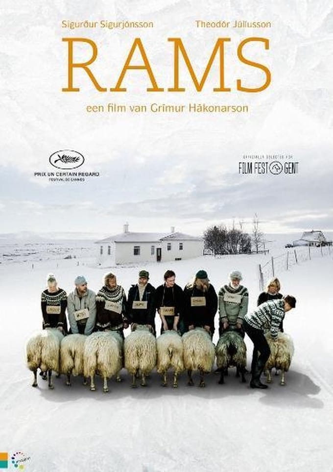 Rams
