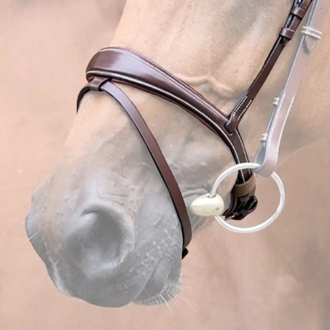 Combinatie paardenneusriem Jump'In One Bruxelles