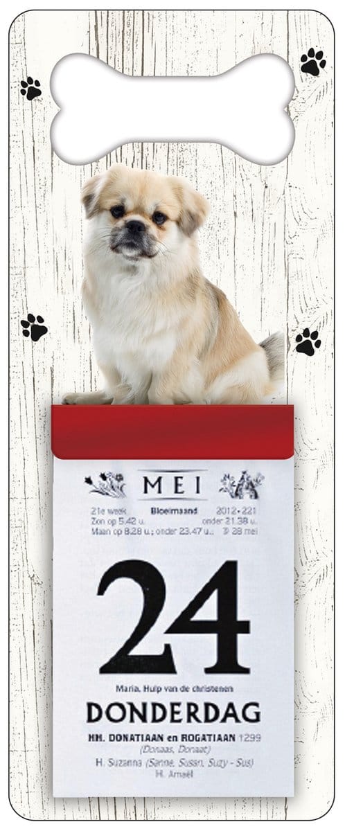 Scheurkalender 2027 Hond: Tibetaanse Spaniel