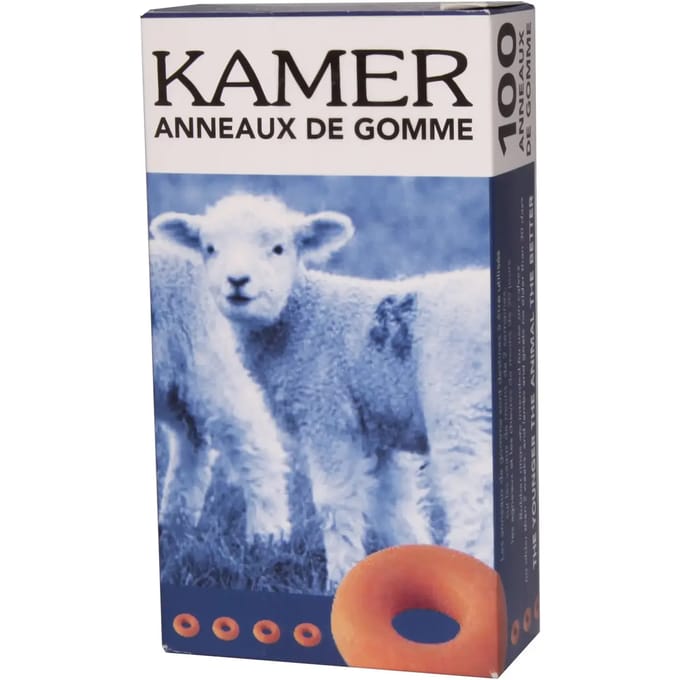Rubberen ringen Kamer (x100)
