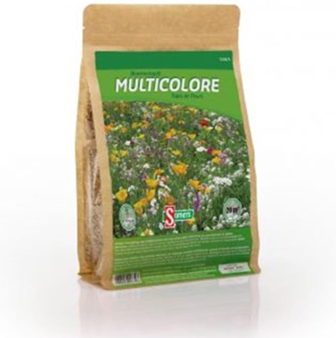 Multicolore 50m²