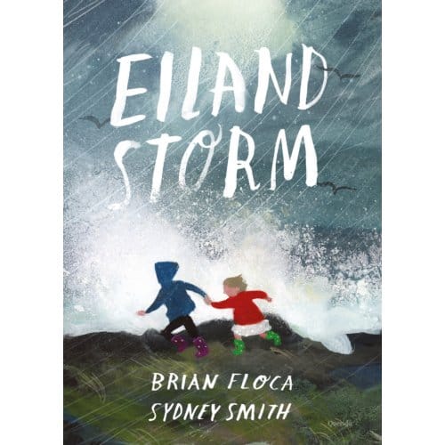 Eilandstorm - Brian Floca