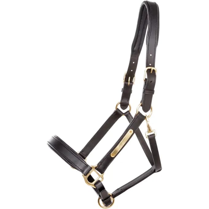 Halsband voor paard Kavalkade Cinta