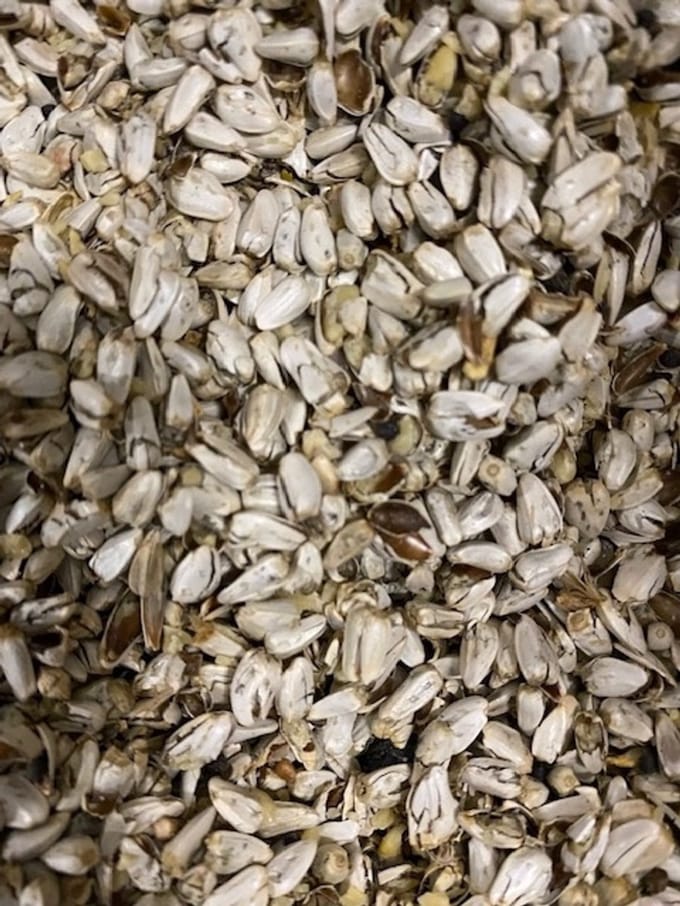 Vogelvoer- Vogelzaad- Gebroken Saffloorpitten- Kardizaad- Cardypitten- 2 kilo