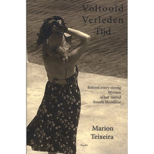 Voltooid Verleden Tijd - Marion Teixeira