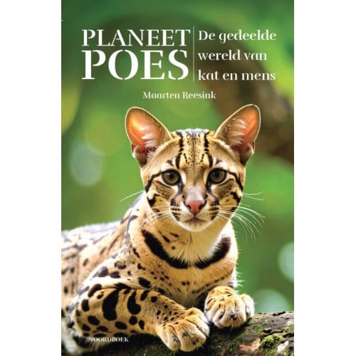 Planeet Poes - Maarten Reesink