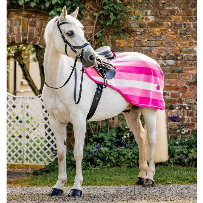 Paardendekens Horseware Newmarket