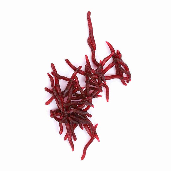 Vislokmiddel 4cm Zachte insecten Valse regenworm Zee-aas Bloedworm Lokmiddel Kunstaas 100 stuks 100pcs