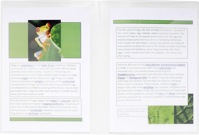 Exacompta 20x Tweezijdige presentatiemappen - halfharde PP 40/100ste - A4 & A3 - Transparant - 3967E