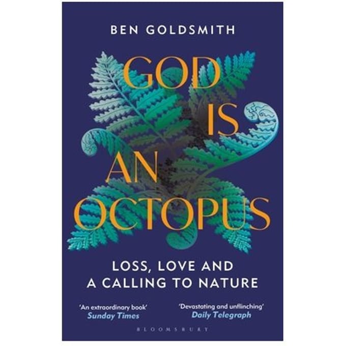God Is An Octopus - Ben Goldsmith