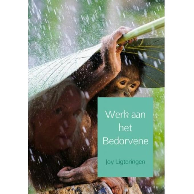 Werk Aan Het Bedorvene - Joy Ligteringen