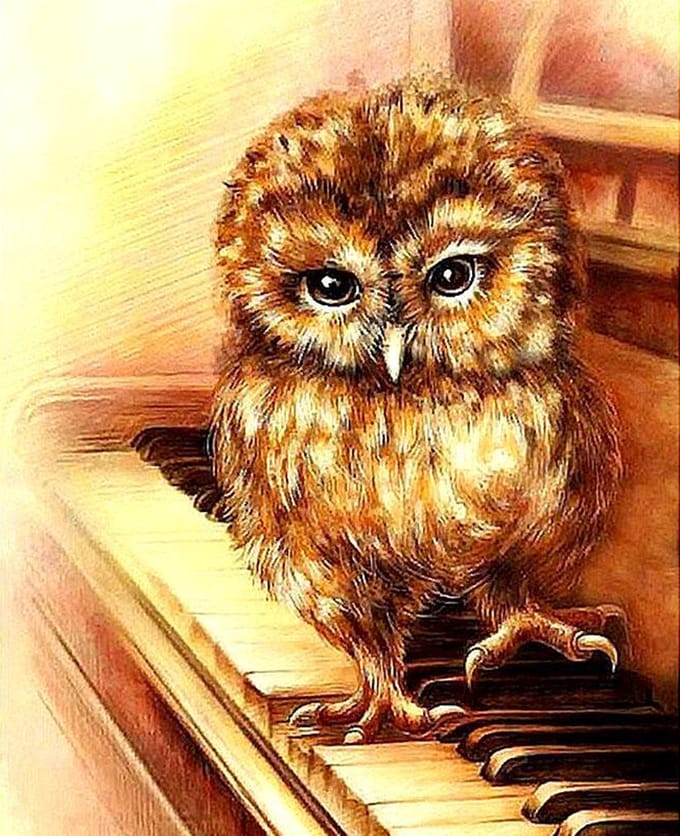 Diamond painting 40x50cm - uiltje - ronde steentjes