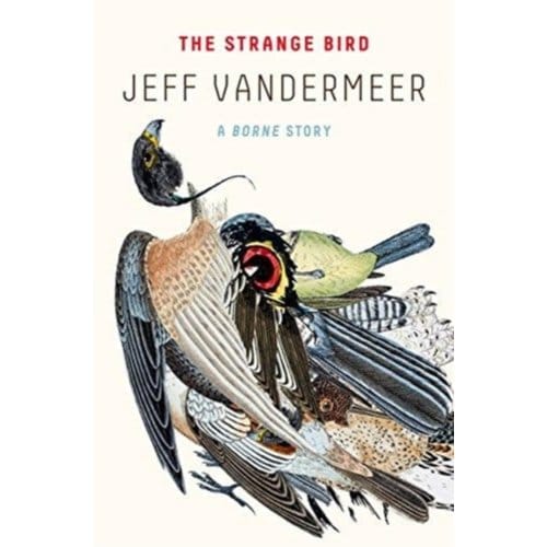 The Strange Bird - Jeff VanderMeer