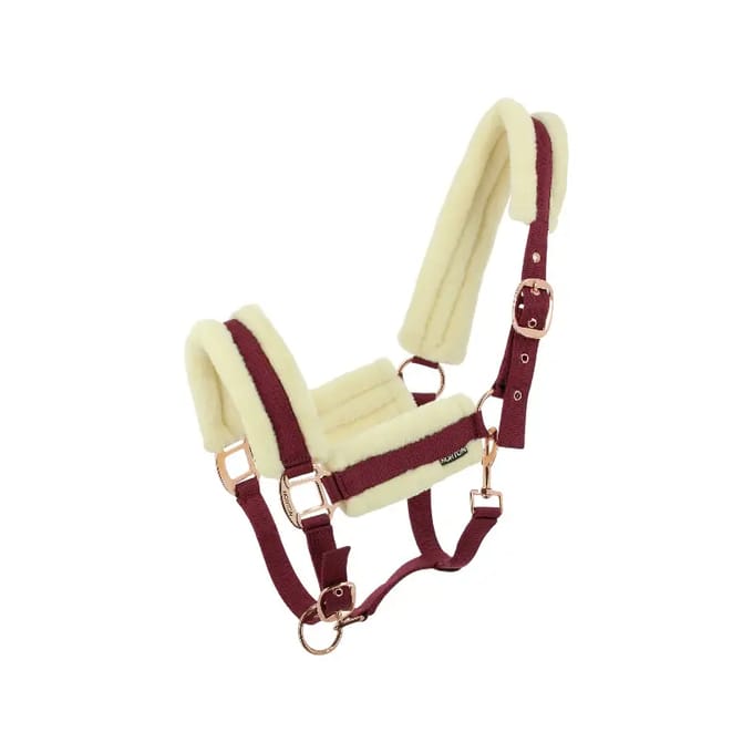 Halster voor paarden Norton Comfy