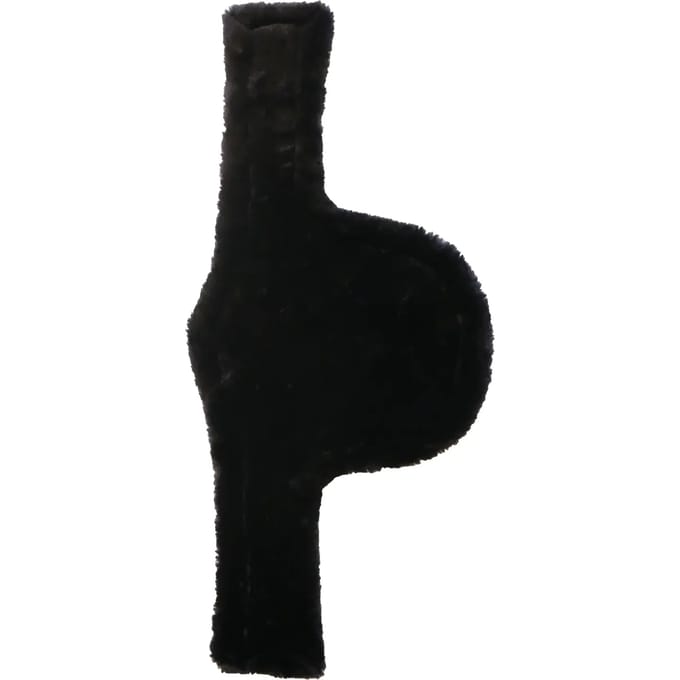 Ruitersingel schaap Kentucky Cover