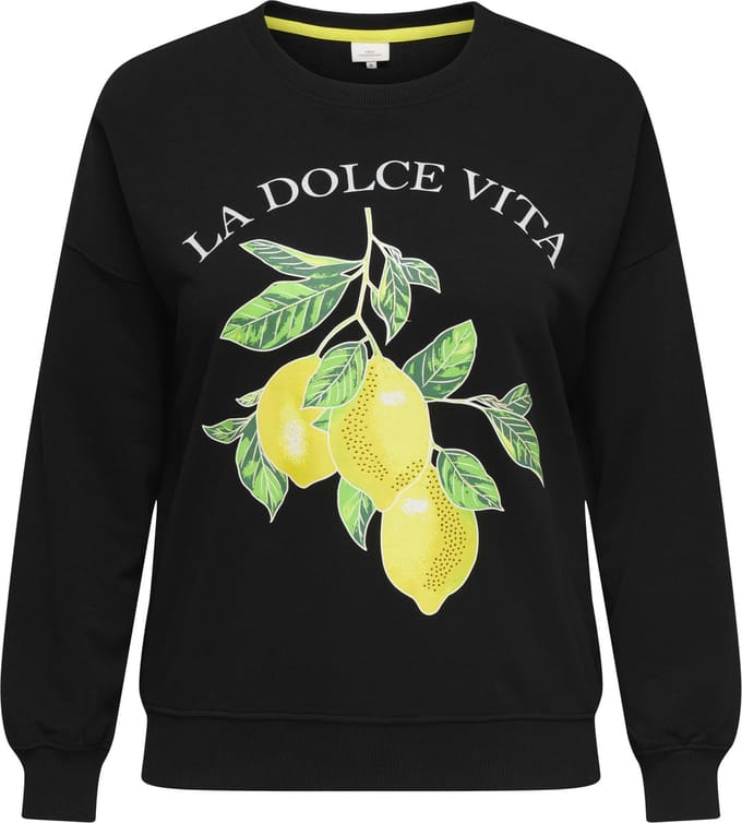 ONLY CARMAKOMA - CARLACEY LIFE L/S O-NECK SWEAT JRS Dames Trui