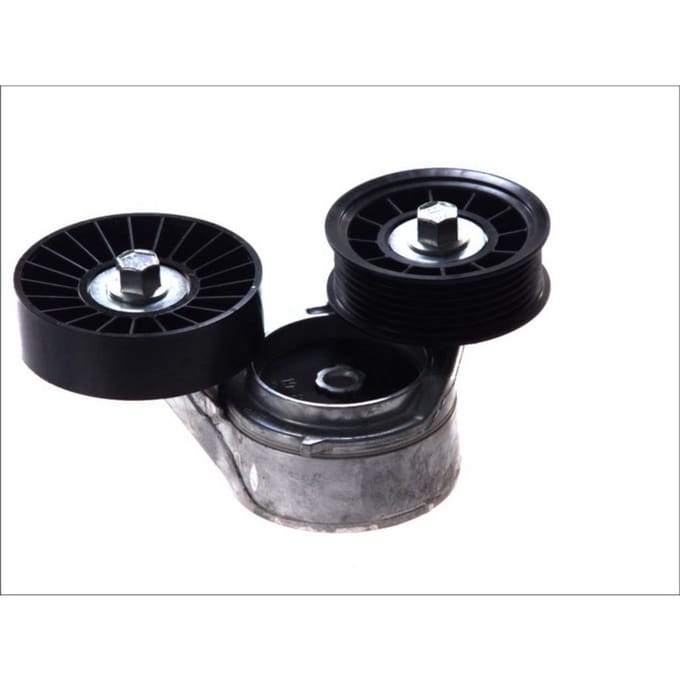 Riemspanner, Poly V-riem DAYCO APV2493