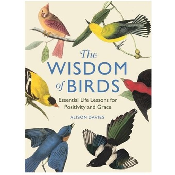 The Wisdom Of Birds - Alison Davies