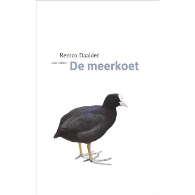 De Meerkoet - De Vogelserie - Remco Daalder
