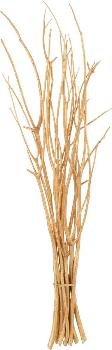 J-Line decoratie tak droogbloemen - riet - goud - small - 3 stuks