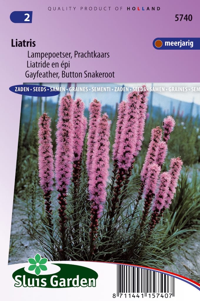 Sluis Garden - Lampepoetser Prachtkaars (Liatris)
