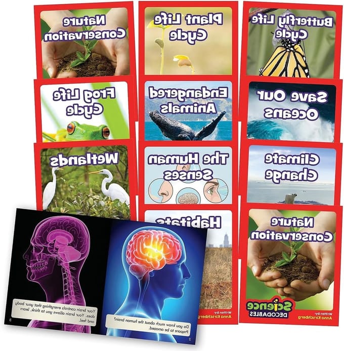 Science Decodables Phase 6 Non-Fiction