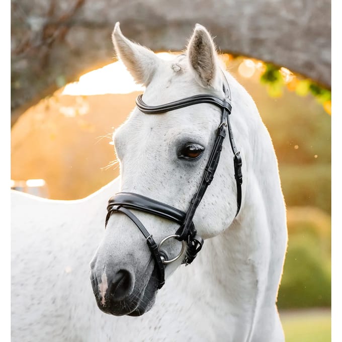 Hoofdstel Horseware Flash