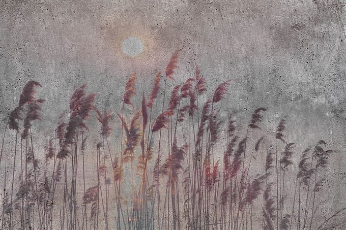 Fotobehang - Reed Abstract 375x250cm - Vliesbehang