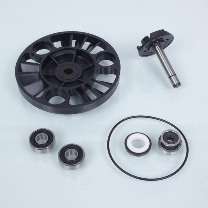 buzzetti waterpomp voor scooter piaggio 125 x9 evolution 2003 tot 2020 nieuw