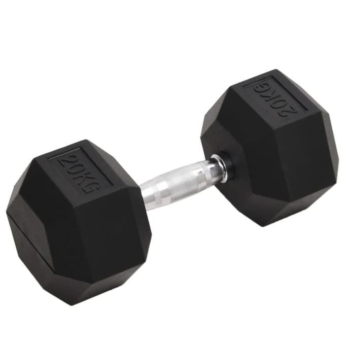 vidaXL - Halters - 20 - kg - gietijzer