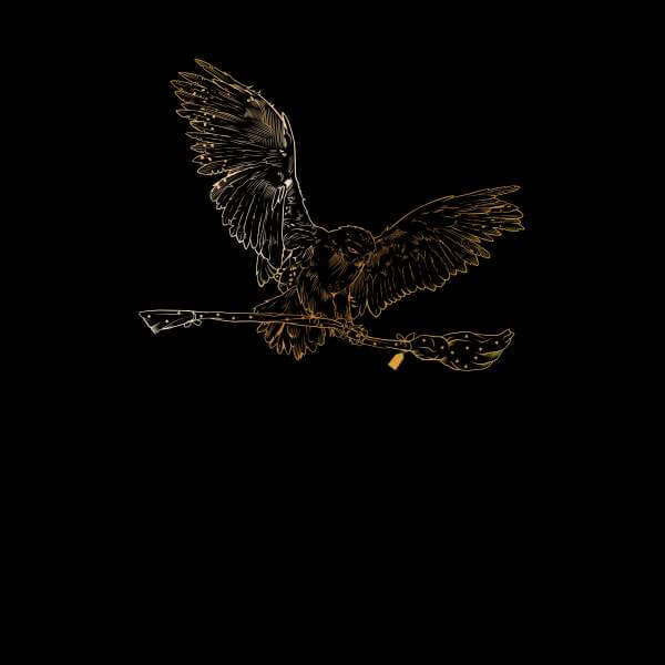 Harry Potter Hedwig Broom Gold trui - Zwart - M